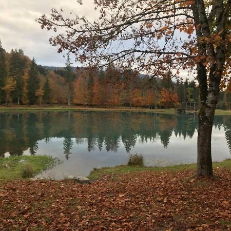 Chalet Alliance Entre Calme Et Plaisir Villa Morillon Bagian luar foto