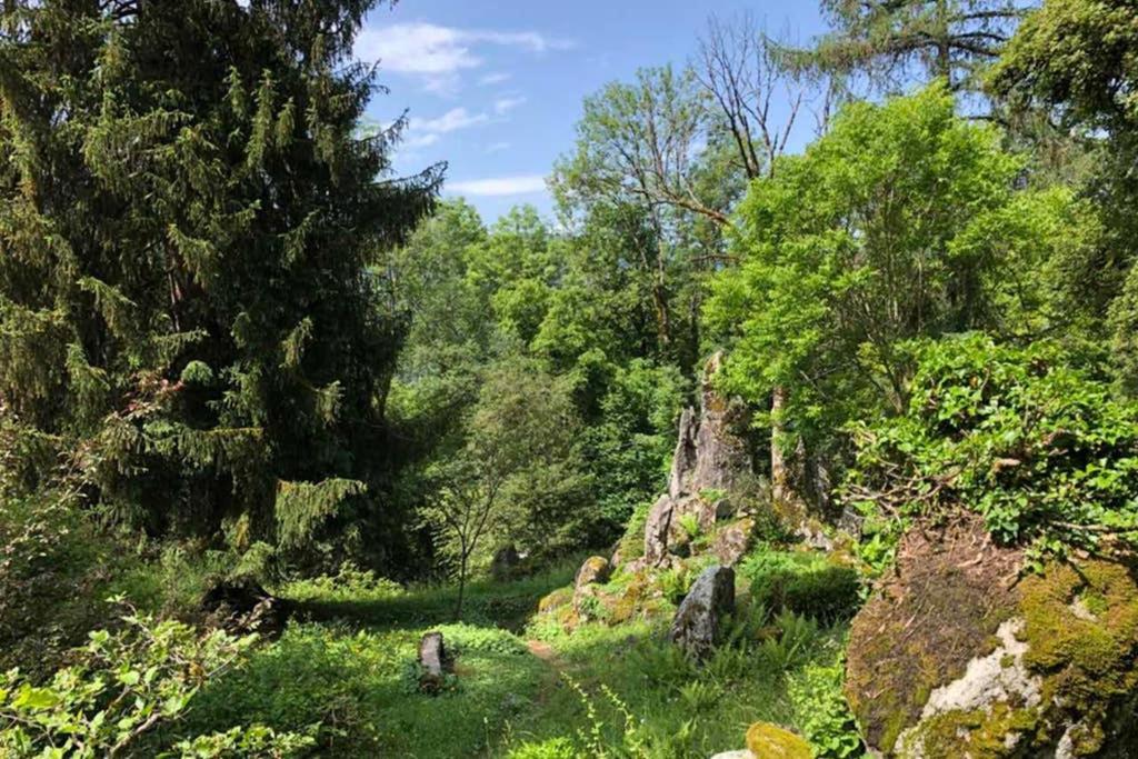 Chalet Alliance Entre Calme Et Plaisir Villa Morillon Bagian luar foto